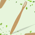 MintGuard eco-friendly bamboo toothbrush with ultra soft bristles and wooden handle