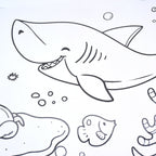 Feature close-up of textured tear-resistant paper on educational coloring roll