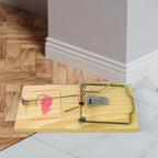 Close-up image of snap force mechanism on wooden mouse trap