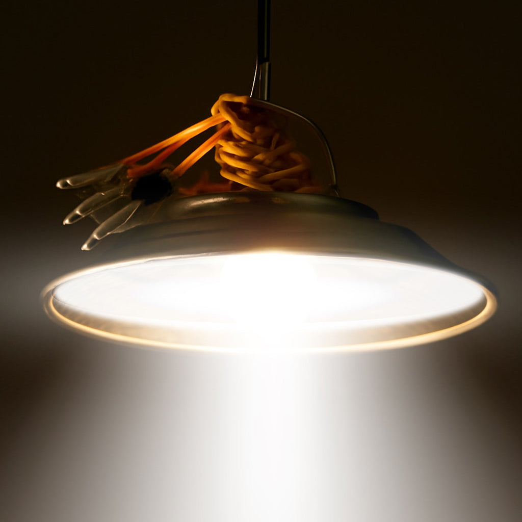 Neutral image of rechargeable hanging LED light