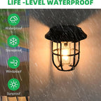 Energy efficient outdoor wall lantern