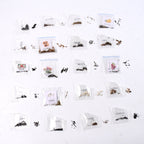 Rainbow bloom flower seeds set for bright garden colors