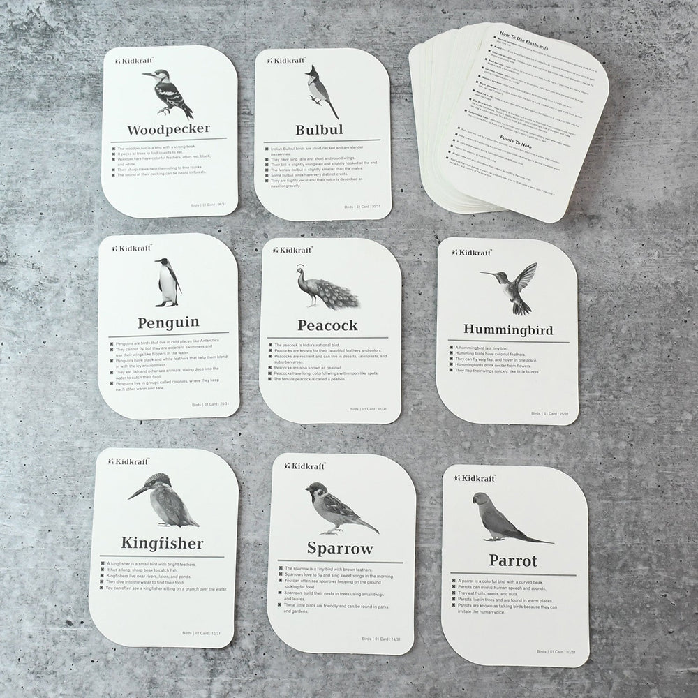 Montessori-aligned bird flashcards promoting sensory and cognitive learning for toddlers