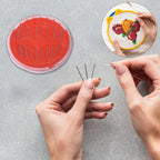 Compact sewing kit tools neatly arranged in a portable box