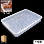 Top-down view of empty 24-grid clear plastic egg tray