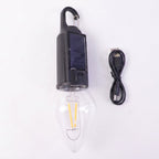 Close-up of vintage warm LED filament bulb in camping lantern