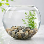 River pebbles used as garden decor and top dressing