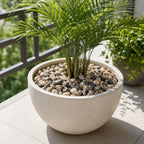 Decorative pebbles used in aquariums and vases for a natural aesthetic.