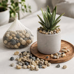 Set of smooth decorative natural pebbles in earthy tones, ideal for home and garden decor.
