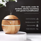 Home use diffuser with LED lighting