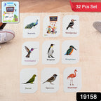 Close-up of vibrant bird flashcard featuring a peacock image with name label