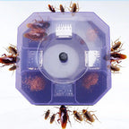 Numerous brown cockroaches surround and are inside a purple hexagonal trap containing bait powder, set against a light