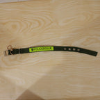 An active dog comfortably wearing the reflective heavy duty nylon collar outdoors.