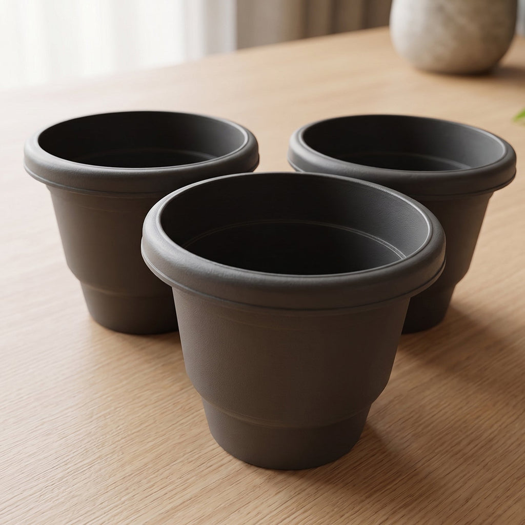 Flower pot planter white bg