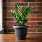 Indoor outdoor garden planters
