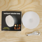 Automatic motion night light with rechargeable battery