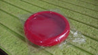 Hand holding the Organivo Fruit & Vegetable Container, illustrating its ergonomic size for daily use.