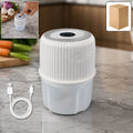 Mini Garlic Chopper with 300 ml capacity and stainless steel blades