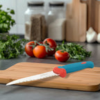 Detailed closeup of the stainless steel paring knife blade