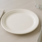 Smooth glossy plastic dinner plate showing its break-resistant surface